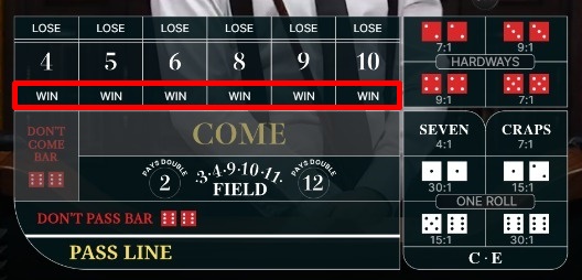 WINベット（マルチロールベット）